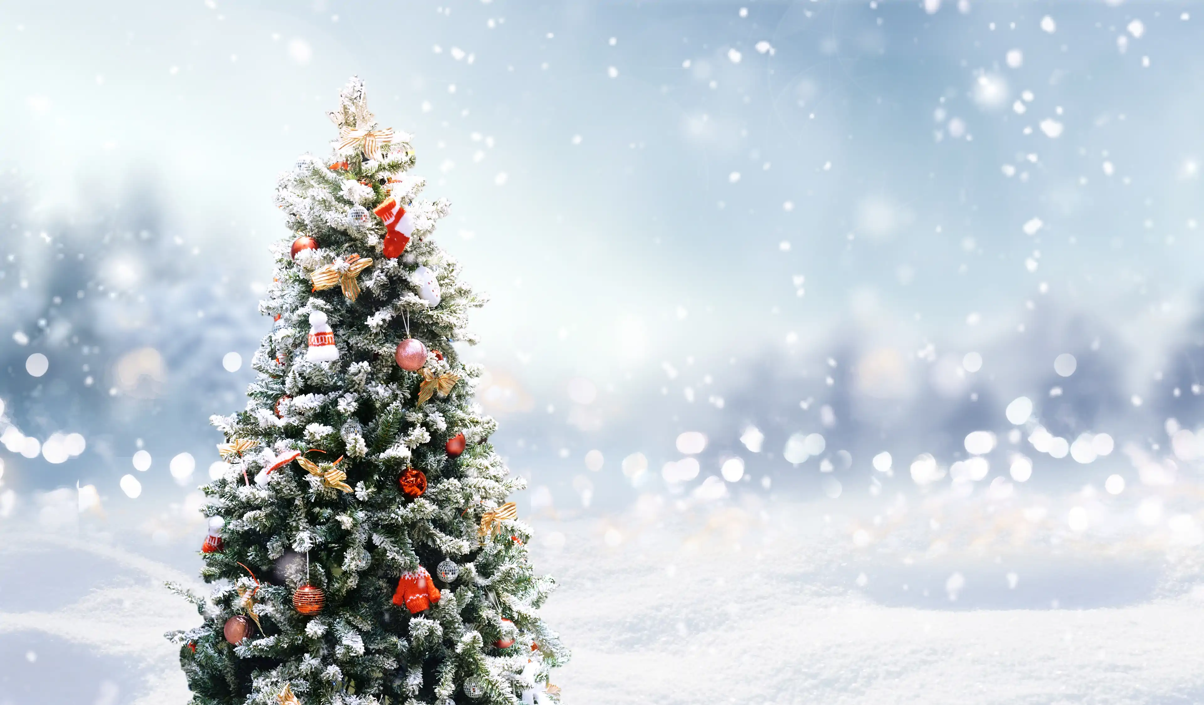 average mobile subscribe to service date in november access categories without worry for events